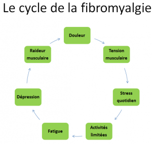 cycle de la fibromyalgie 